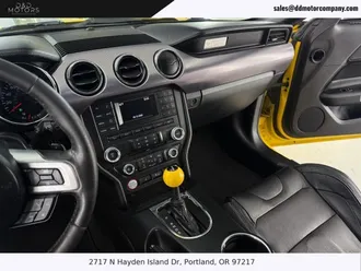 Mustang 19