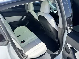Model Y 19