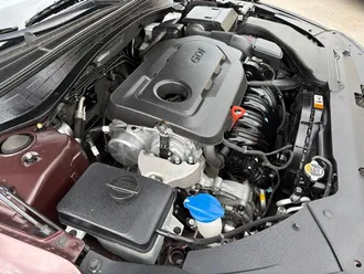 Optima 33