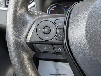 RAV4 Hybrid LE 21