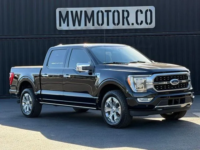 2021 Ford F-150 Platinum