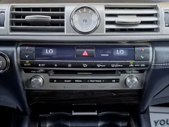 LS 31