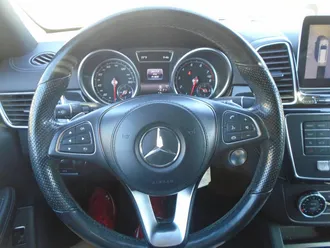GLS 31