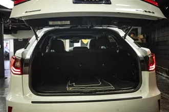 2019 LEXUS RX photo 7
