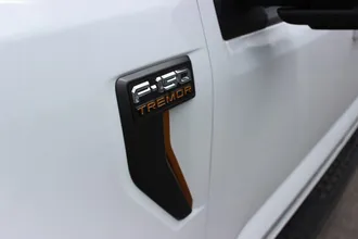 2025 FORD F-150 photo 2