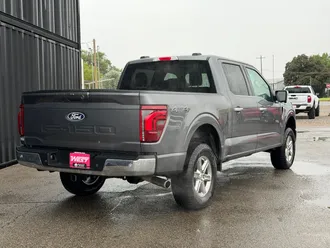 2025 Ford F-150 photo 7