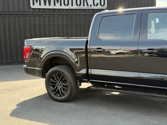 2024 Ford F-150 photo 4