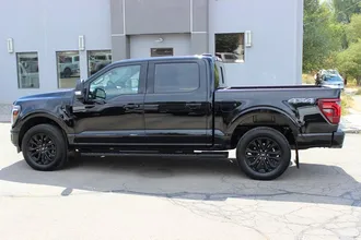 2025 FORD F-150 photo 2