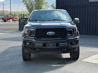 2019 Ford F-150 photo 2