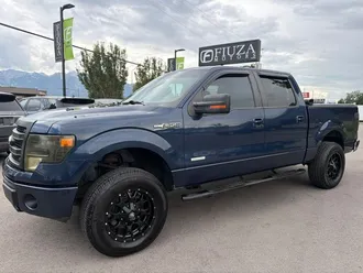 2013 Ford F-150 photo 4