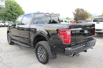 2025 FORD F-150 photo 4
