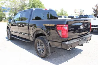 2025 FORD F-150 photo 5
