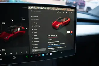 Model Y 20