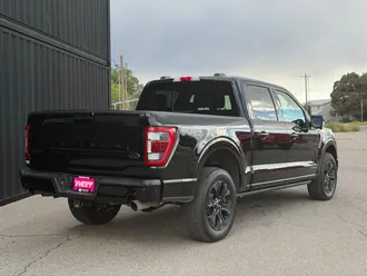 2023 Ford F-150 photo 7