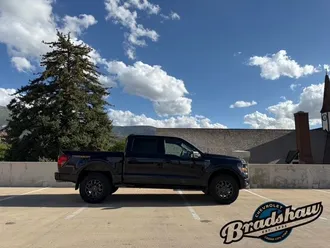 2025 Ford F-150 photo 3