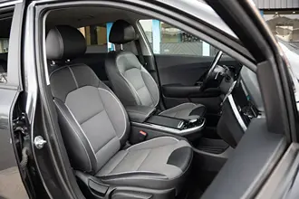 Niro 33