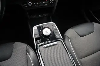 Niro 29