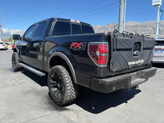 2014 Ford F-150 photo 6