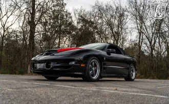 2002 Pontiac Firebird photo 7