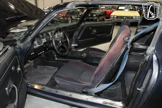1981 Pontiac Firebird photo 6
