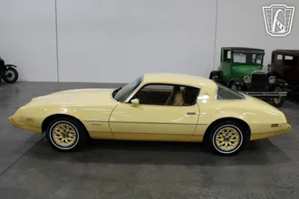1980 Pontiac Firebird photo 4
