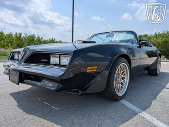 1977 Pontiac Firebird Roadster photo 2