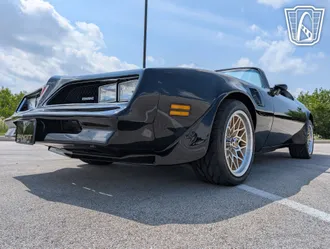 1977 Pontiac Firebird Roadster photo 3
