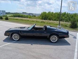 1977 Pontiac Firebird Roadster photo 4