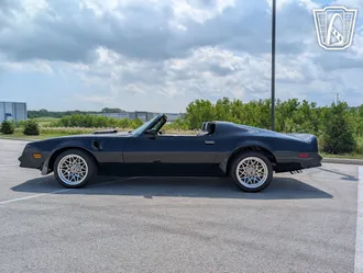 1977 Pontiac Firebird Roadster photo 5