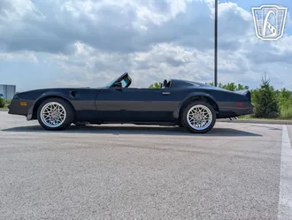 1977 Pontiac Firebird Roadster photo 6