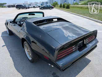 1977 Pontiac Firebird Roadster photo 7