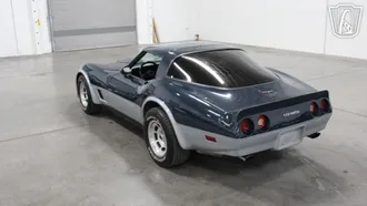 1981 Chevrolet Corvette photo 5