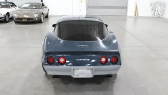 1981 Chevrolet Corvette photo 6