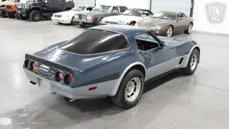 1981 Chevrolet Corvette photo 7