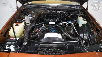 1978 Oldsmobile Cutlass Supreme photo 2