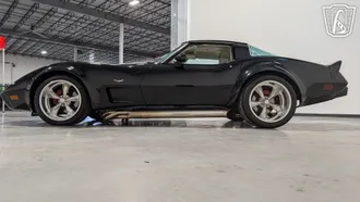 1978 Chevrolet Corvette photo 7