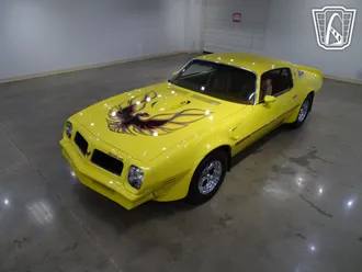 1976 Pontiac Firebird photo 2