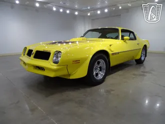 1976 Pontiac Firebird photo 3
