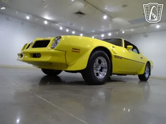 1976 Pontiac Firebird photo 4