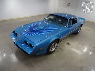 1979 Pontiac Firebird photo 3
