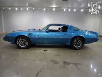 1979 Pontiac Firebird photo 7