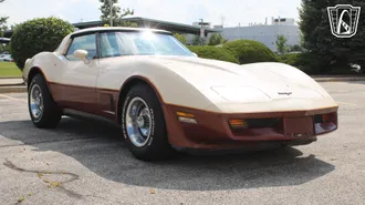 1981 Chevrolet Corvette photo 2