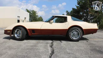 1981 Chevrolet Corvette photo 7