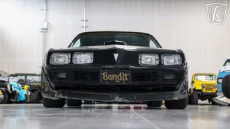1979 Pontiac Trans Am photo 4