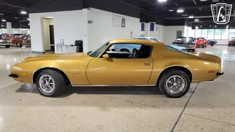 1974 Pontiac Firebird Formula photo 2