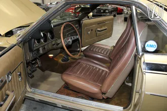 1970 AMC AMX photo 6