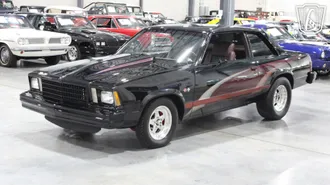 1979 Chevrolet Malibu photo 2