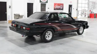 1979 Chevrolet Malibu photo 4