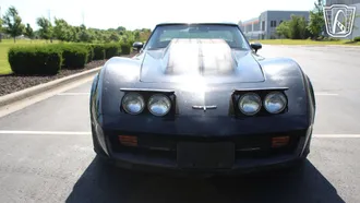 1980 Chevrolet Corvette photo 6