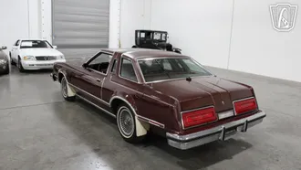 1979 Ford Thunderbird photo 5